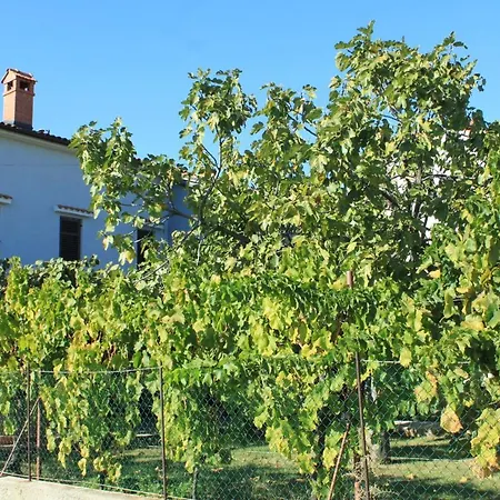 아파트 With A Parking Space Stinjan, - 7369