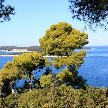 With A Parking Space Stinjan, - 7369