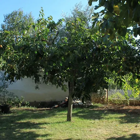 With A Parking Space Stinjan, - 7369 Pula