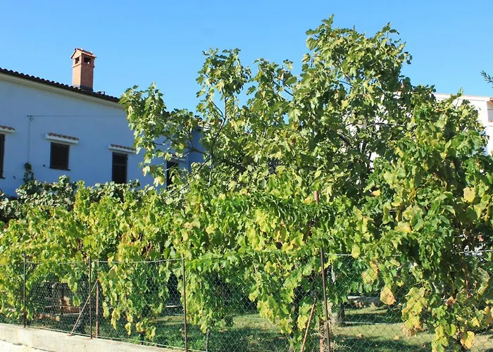 Διαμέρισμα With A Parking Space Stinjan, - 7369