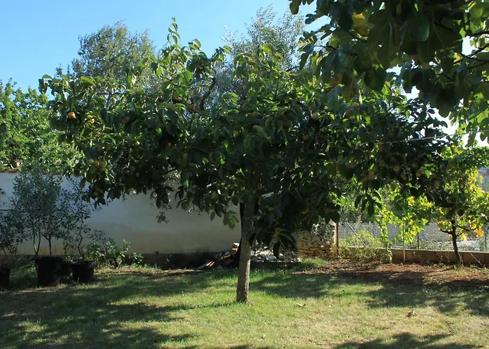 With A Parking Space Stinjan, - 7369 Πούλα